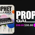 Prophet Gallery & Chroma Gallery – 500+ Analog Synth & Guitar Phrases for Cinematic Production