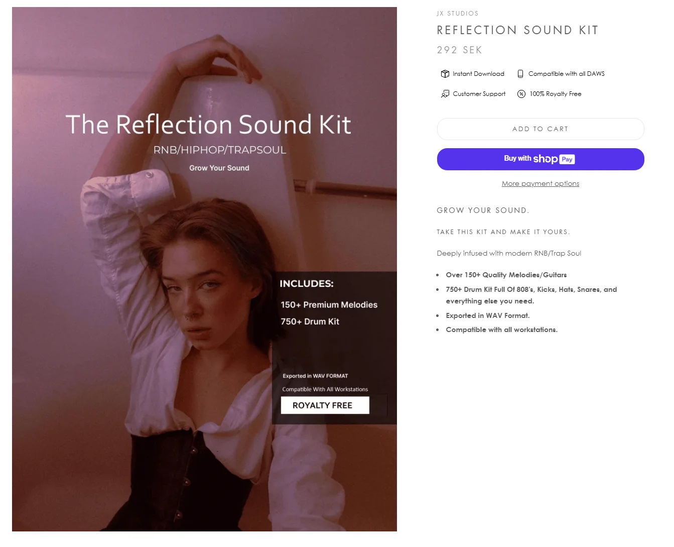 Reflection Sound Kit cover